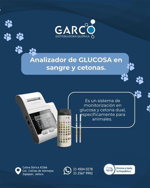Analizador de GLUCOSA en sangre y cetonas